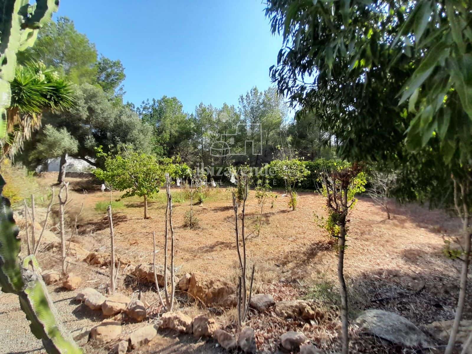 3 soverom Villa til salgs i Santa Eulalia / Santa Eularia med svømmebasseng garasje - € 2 625 000 (Ref: 9184492)