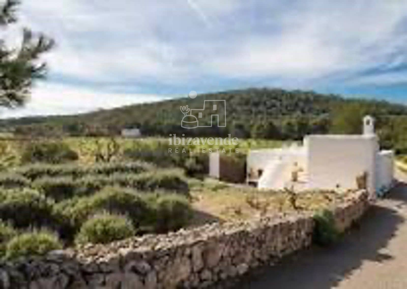 7 Zimmer Villa zu verkaufen in Sant Llorenc de Balafia mit Pool Garage - 10.400.000 € (Ref: 9231804)