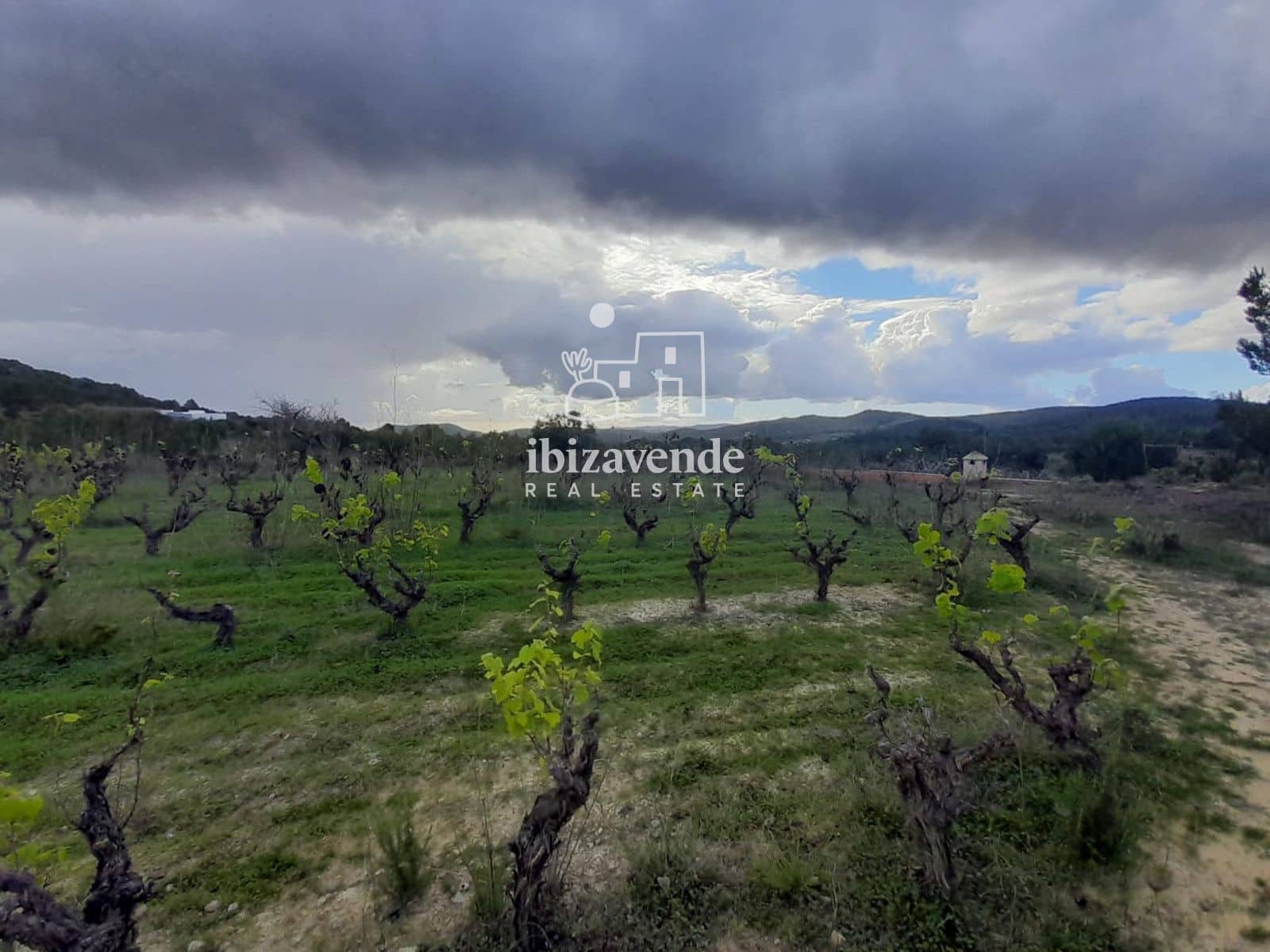 Villa for sale in Santa Ines / Santa Agnes de Corona - € 1,200,000 (Ref: 9400141)