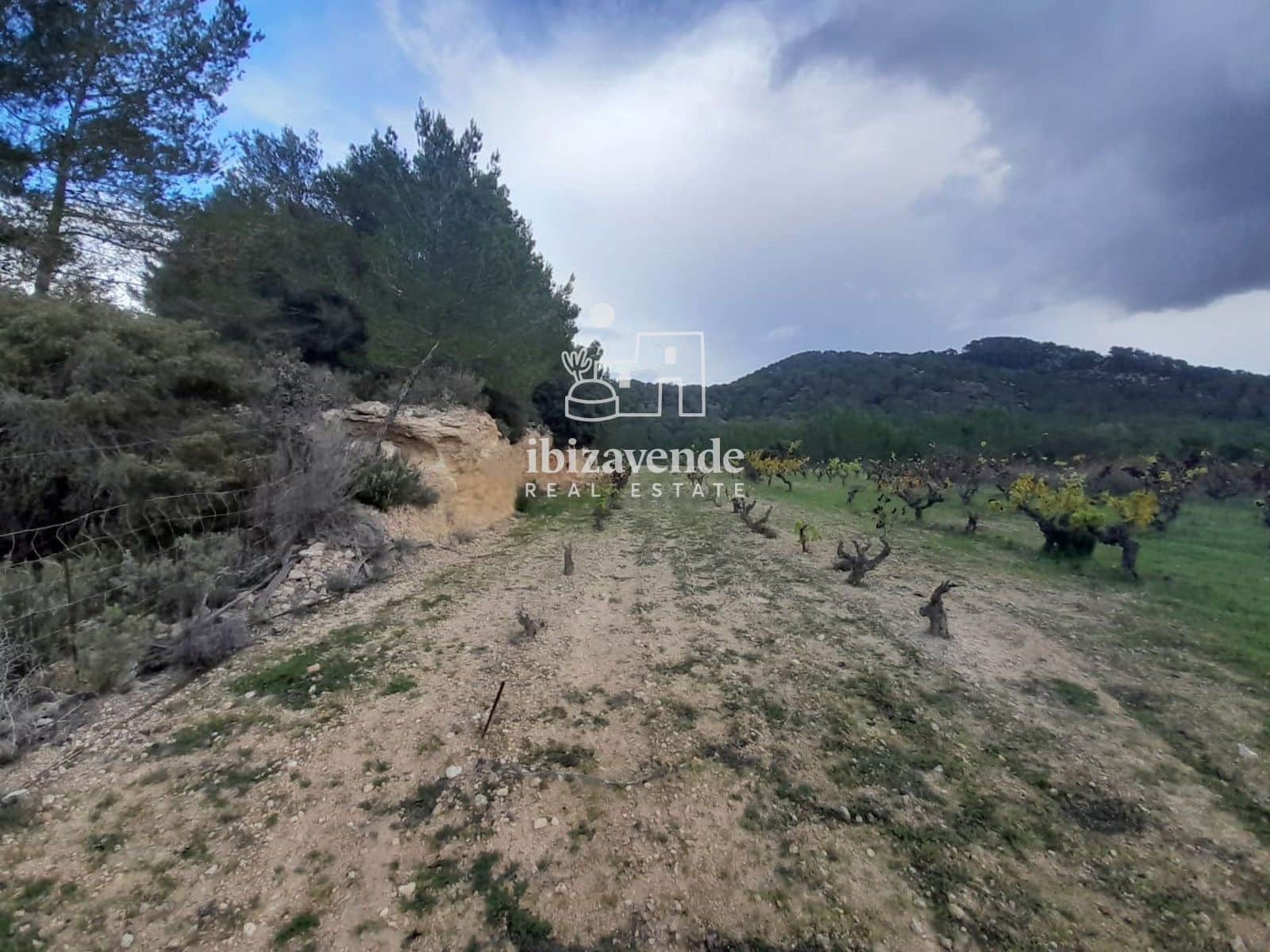 Villa for sale in Santa Ines / Santa Agnes de Corona - € 1,200,000 (Ref: 9400141)