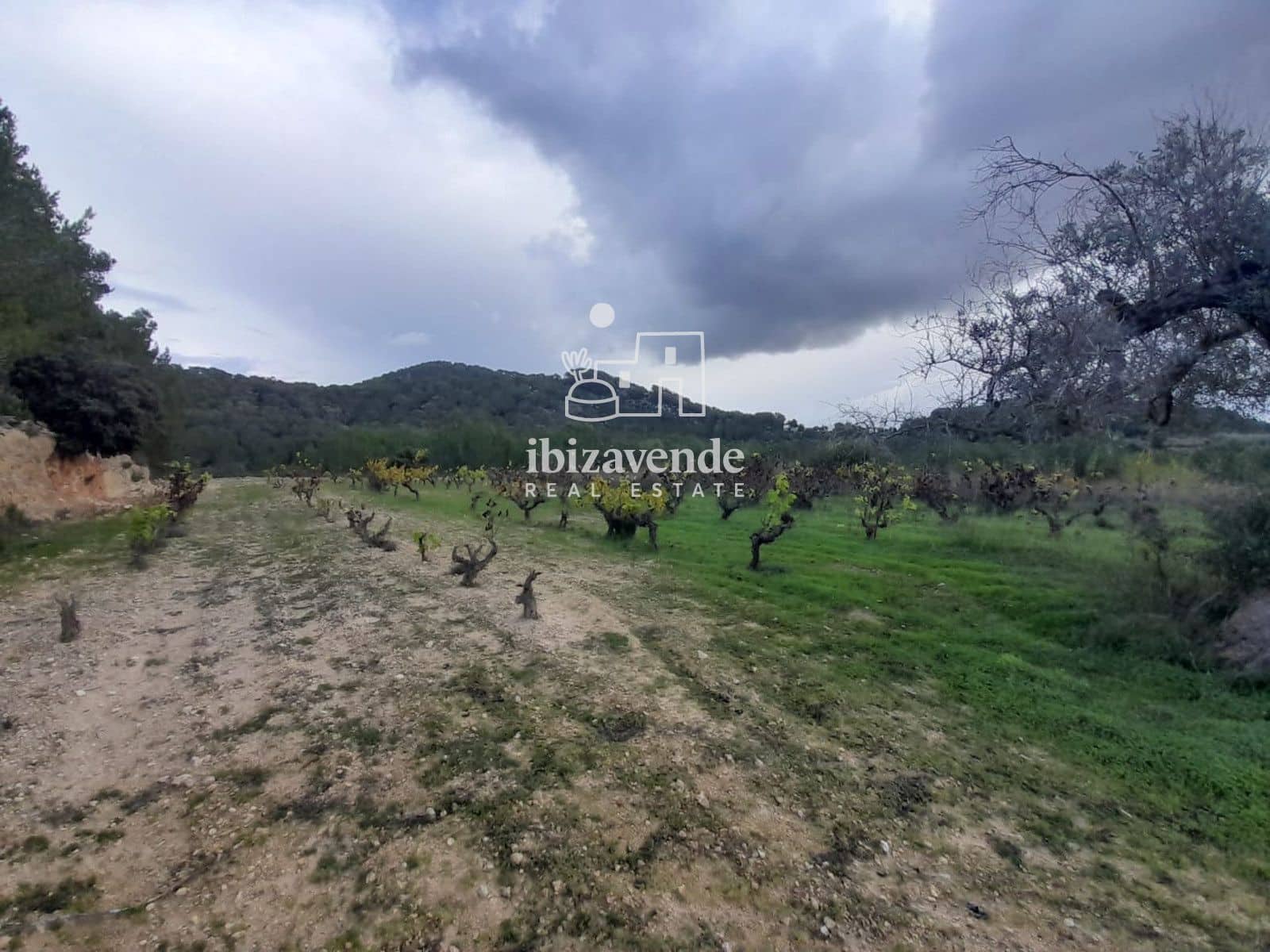 Villa for sale in Santa Ines / Santa Agnes de Corona - € 1,200,000 (Ref: 9400141)