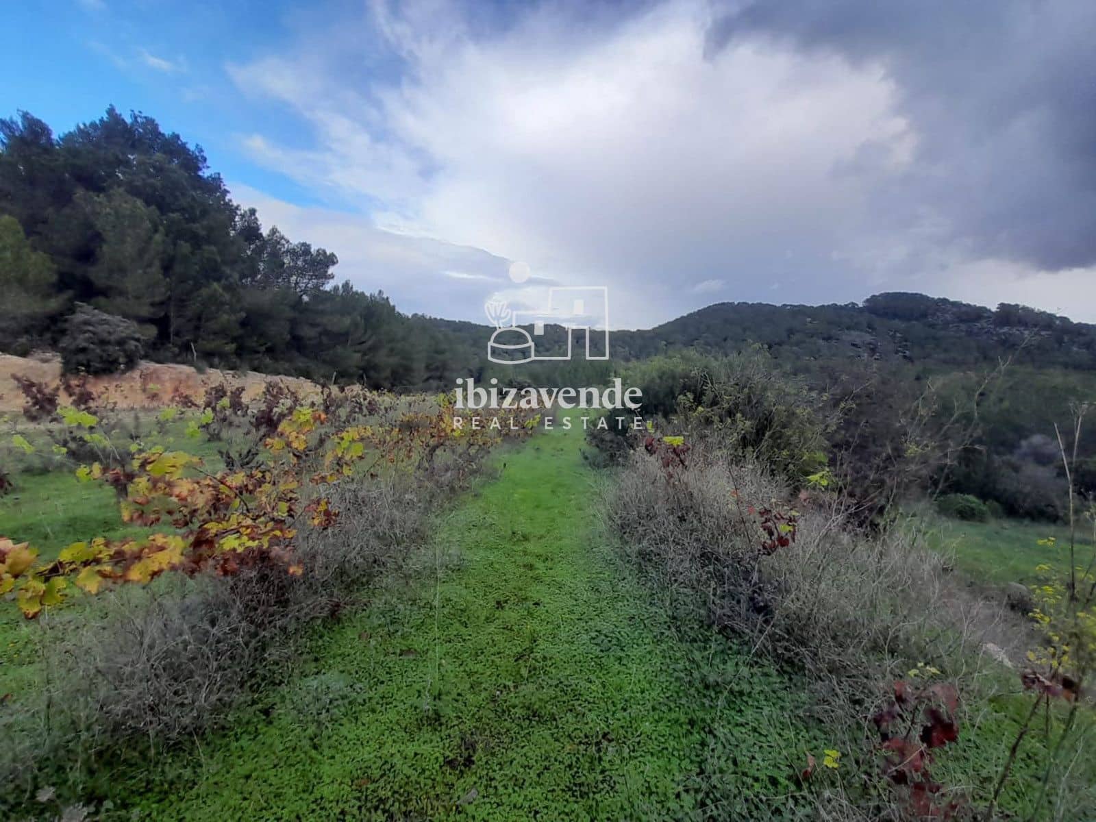 Villa for sale in Santa Ines / Santa Agnes de Corona - € 1,200,000 (Ref: 9400141)