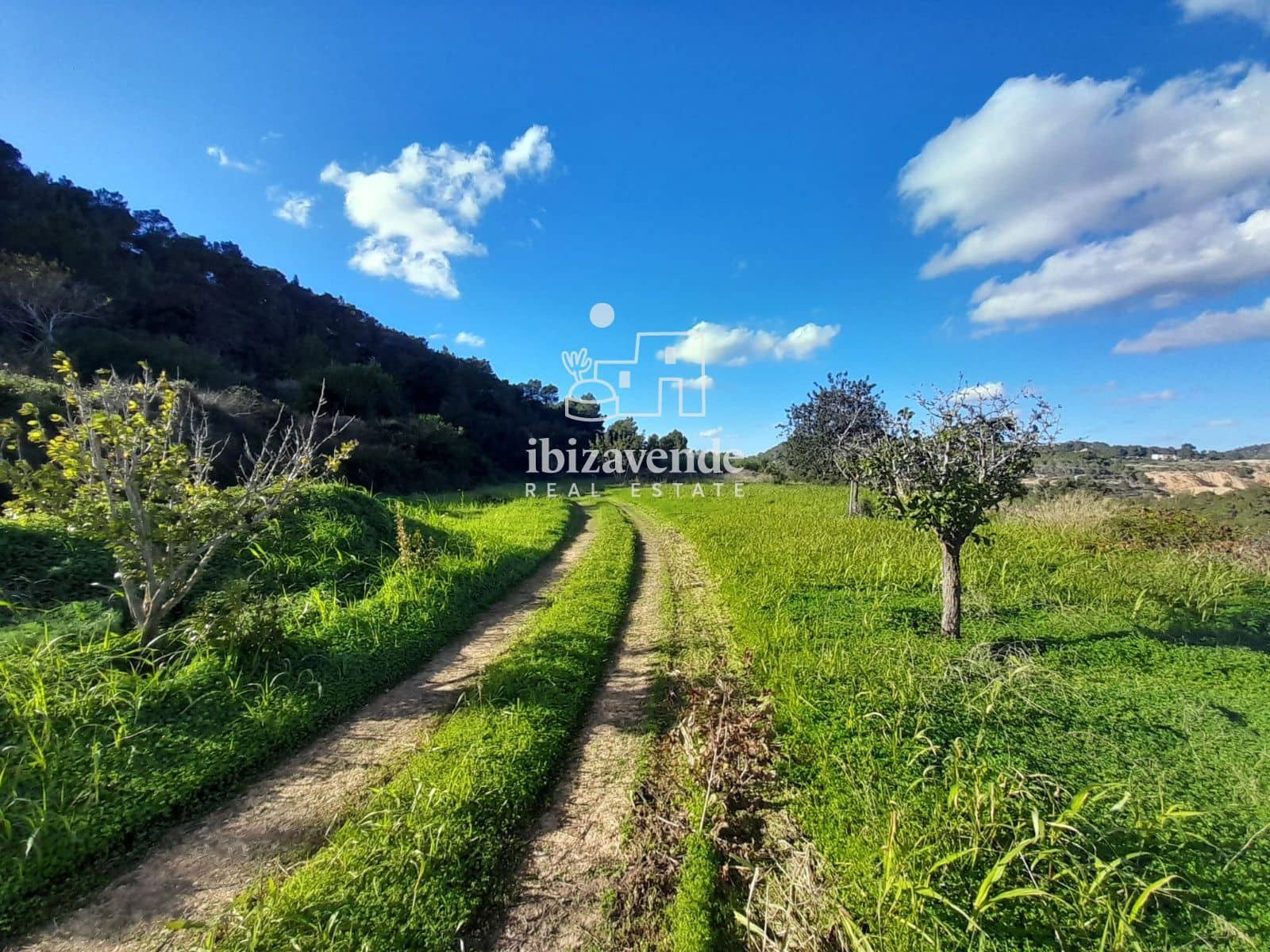 Byggetomt til salgs i San Jose / Sant Josep de Sa Talaia - € 280 000 (Ref: 9415092)