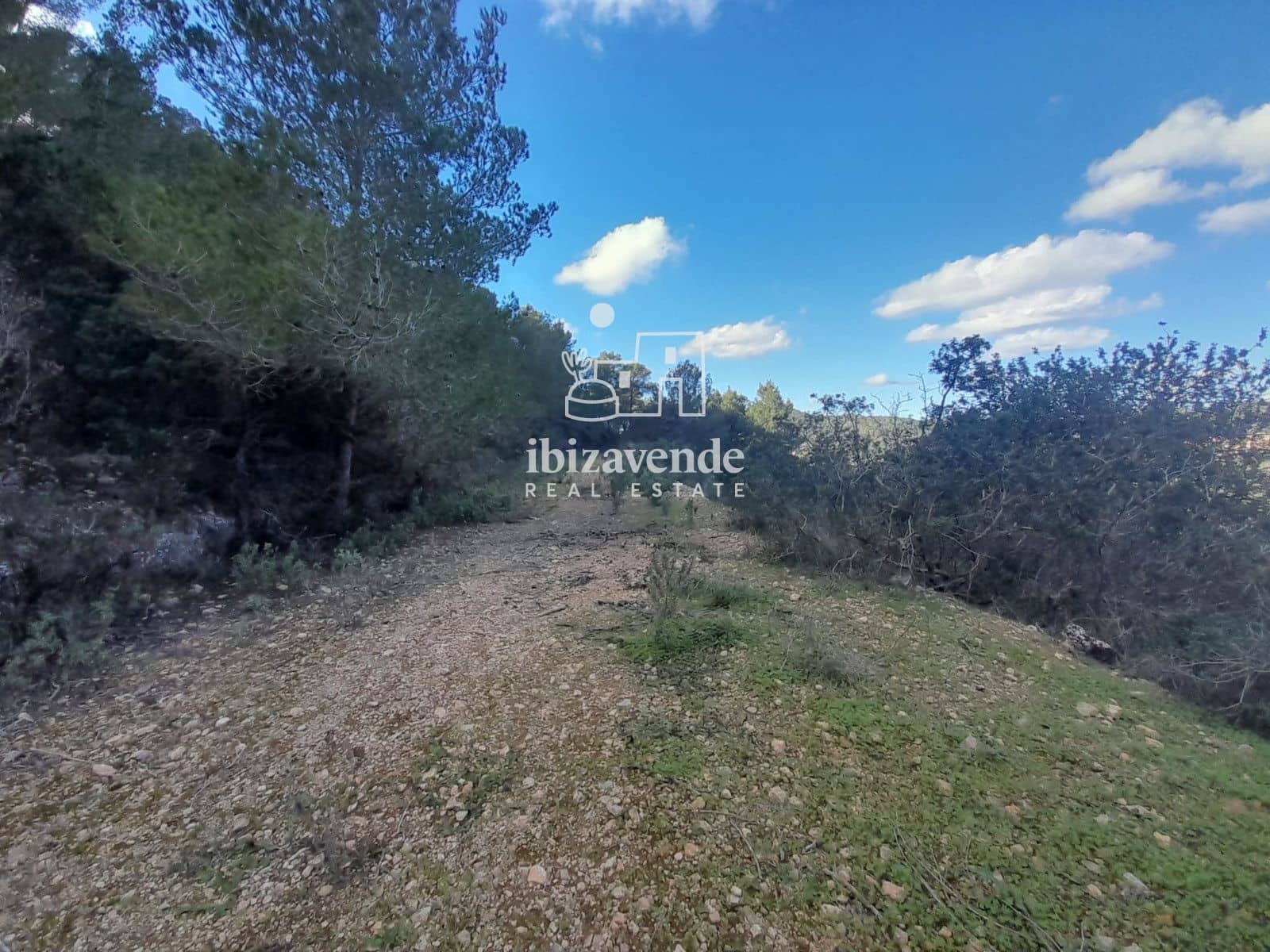 Byggetomt til salgs i San Jose / Sant Josep de Sa Talaia - € 280 000 (Ref: 9415092)