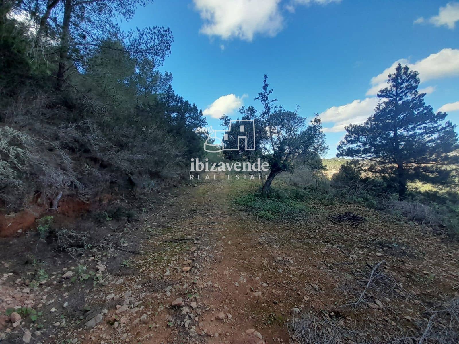 Byggetomt til salgs i San Jose / Sant Josep de Sa Talaia - € 280 000 (Ref: 9415092)