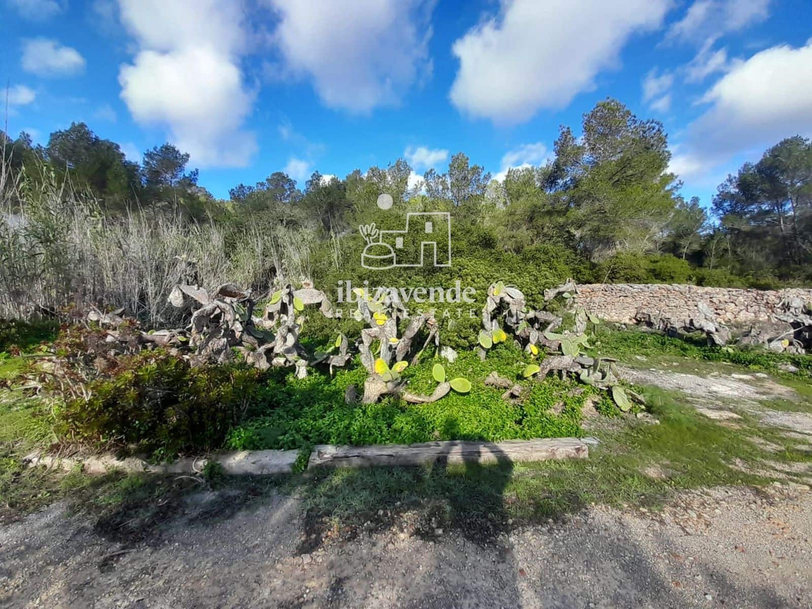 4 soverom Villa til salgs i Santa Ines / Santa Agnes de Corona - € 2 250 000 (Ref: 9426495)