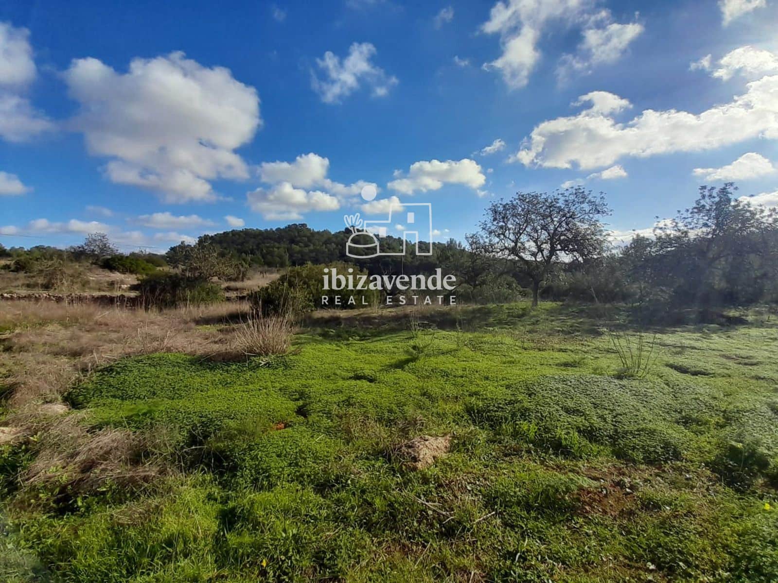 4 soverom Villa til salgs i Santa Ines / Santa Agnes de Corona - € 2 250 000 (Ref: 9426495)