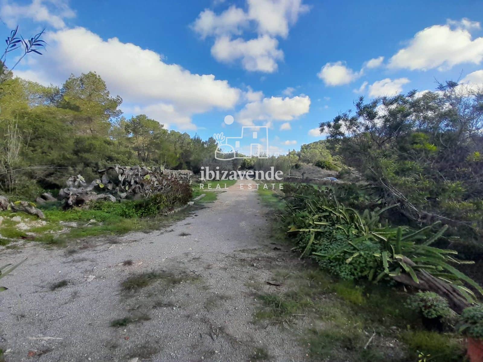 4 soverom Villa til salgs i Santa Ines / Santa Agnes de Corona - € 2 250 000 (Ref: 9426495)