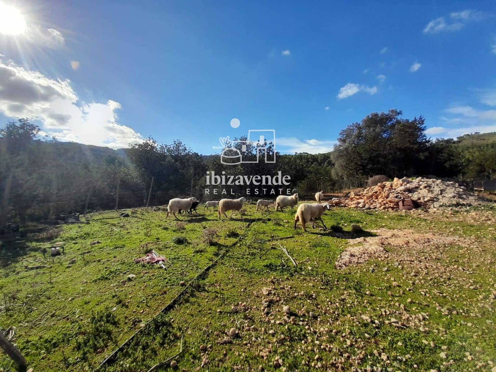 6 bedroom Villa for sale in Sant Joan de Labritja - € 4,500,000 (Ref: 9426496)