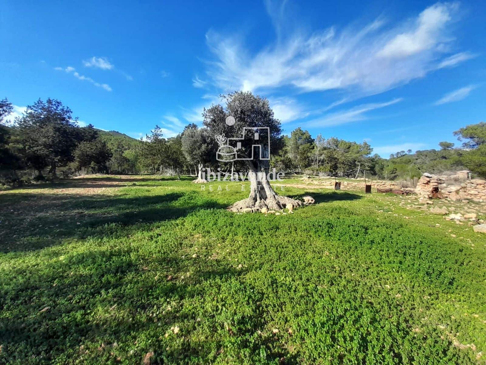 6 bedroom Villa for sale in Sant Joan de Labritja - € 4,500,000 (Ref: 9426496)