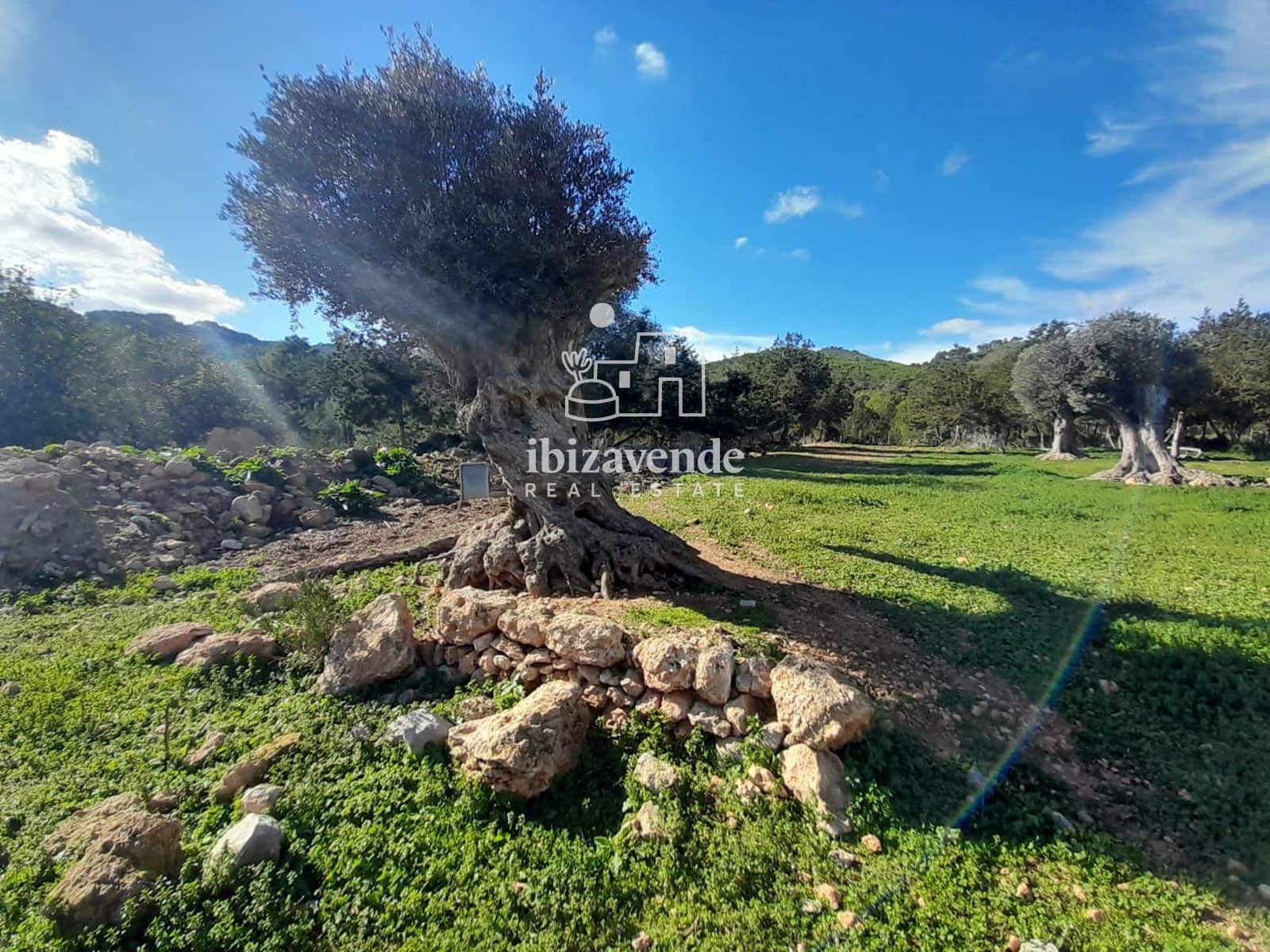 6 bedroom Villa for sale in Sant Joan de Labritja - € 4,500,000 (Ref: 9426496)