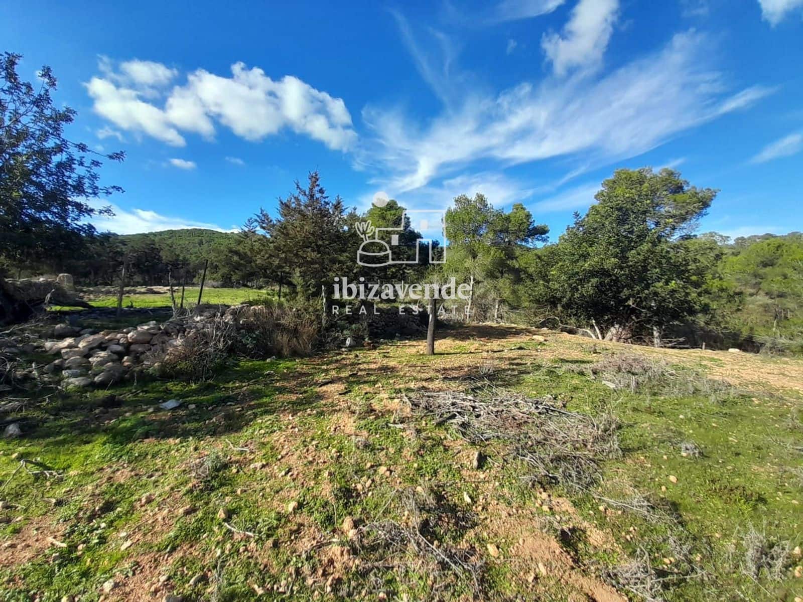 6 bedroom Villa for sale in Sant Joan de Labritja - € 4,500,000 (Ref: 9426496)