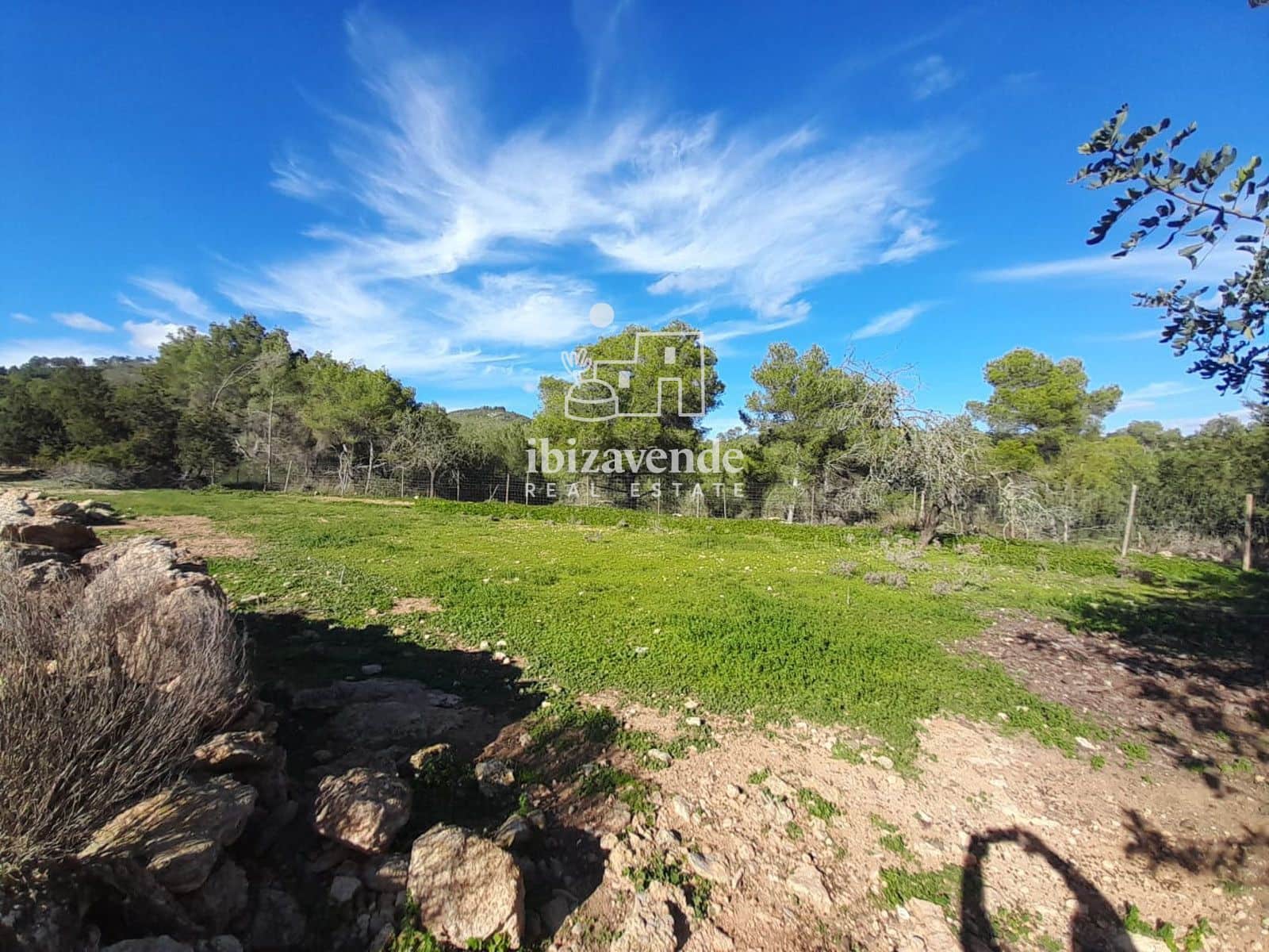 6 bedroom Villa for sale in Sant Joan de Labritja - € 4,500,000 (Ref: 9426496)