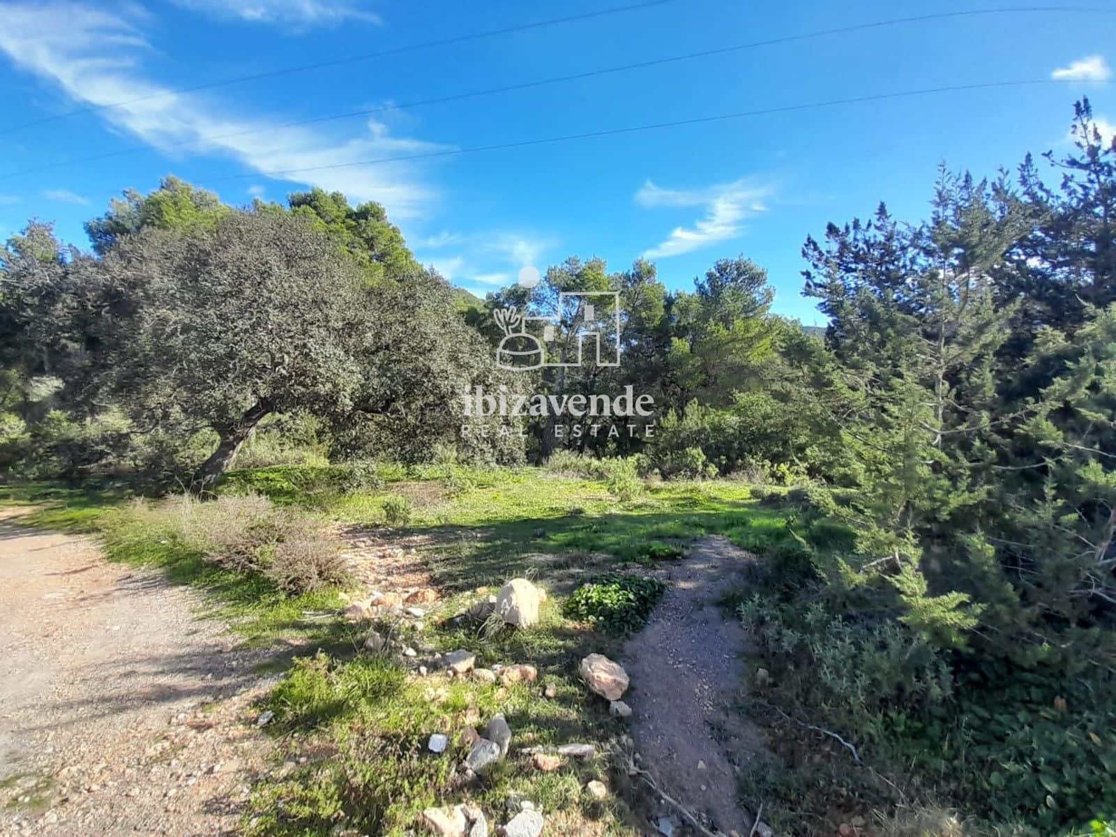 6 bedroom Villa for sale in Sant Joan de Labritja - € 4,500,000 (Ref: 9426496)