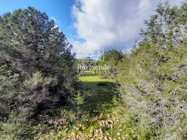 Działka budowlana na sprzedaż w Cala Conta, San Jose / Sant Josep de Sa Talaia - 2 500 000 € (Ref: 9427555)