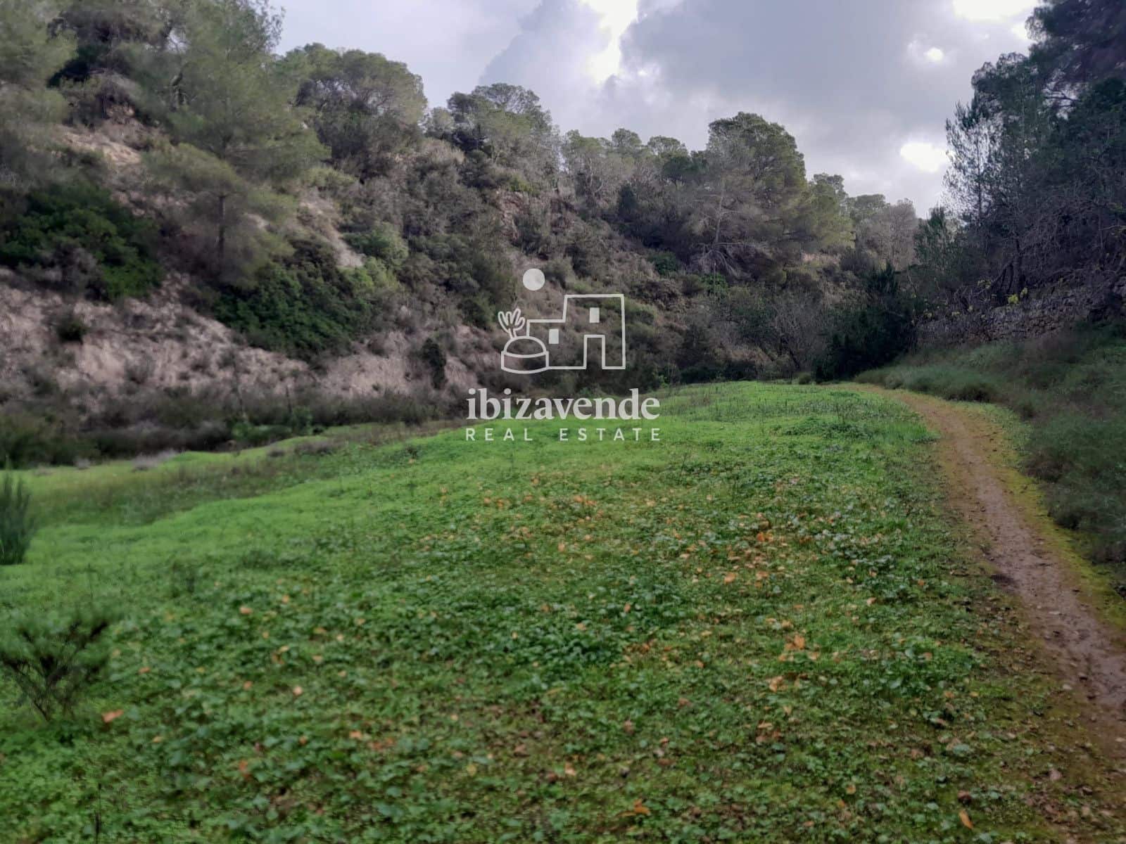 Terrain à Bâtir à vendre à Cala Tarida - 1 800 000 € (Ref: 9462909)