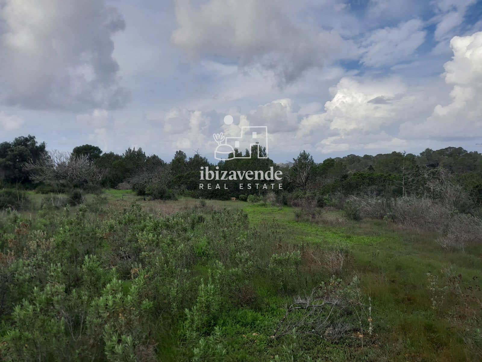 Terrain à Bâtir à vendre à Cala Tarida - 1 800 000 € (Ref: 9462909)