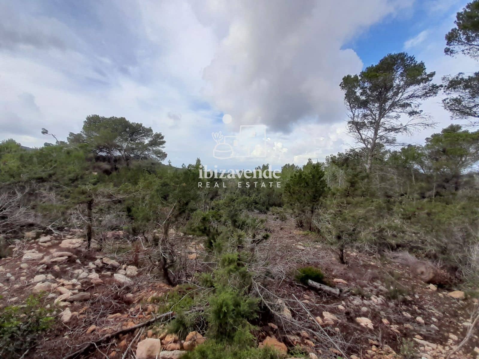 Terrain à Bâtir à vendre à Cala Tarida - 1 800 000 € (Ref: 9462909)