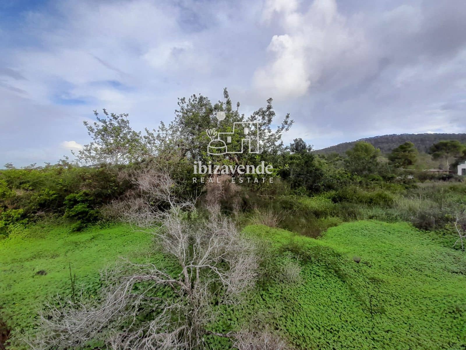 Terrain à Bâtir à vendre à Cala Tarida - 1 800 000 € (Ref: 9462909)