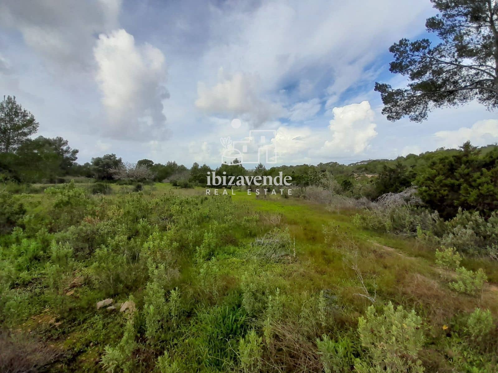 Terrain à Bâtir à vendre à Cala Tarida - 1 800 000 € (Ref: 9462909)