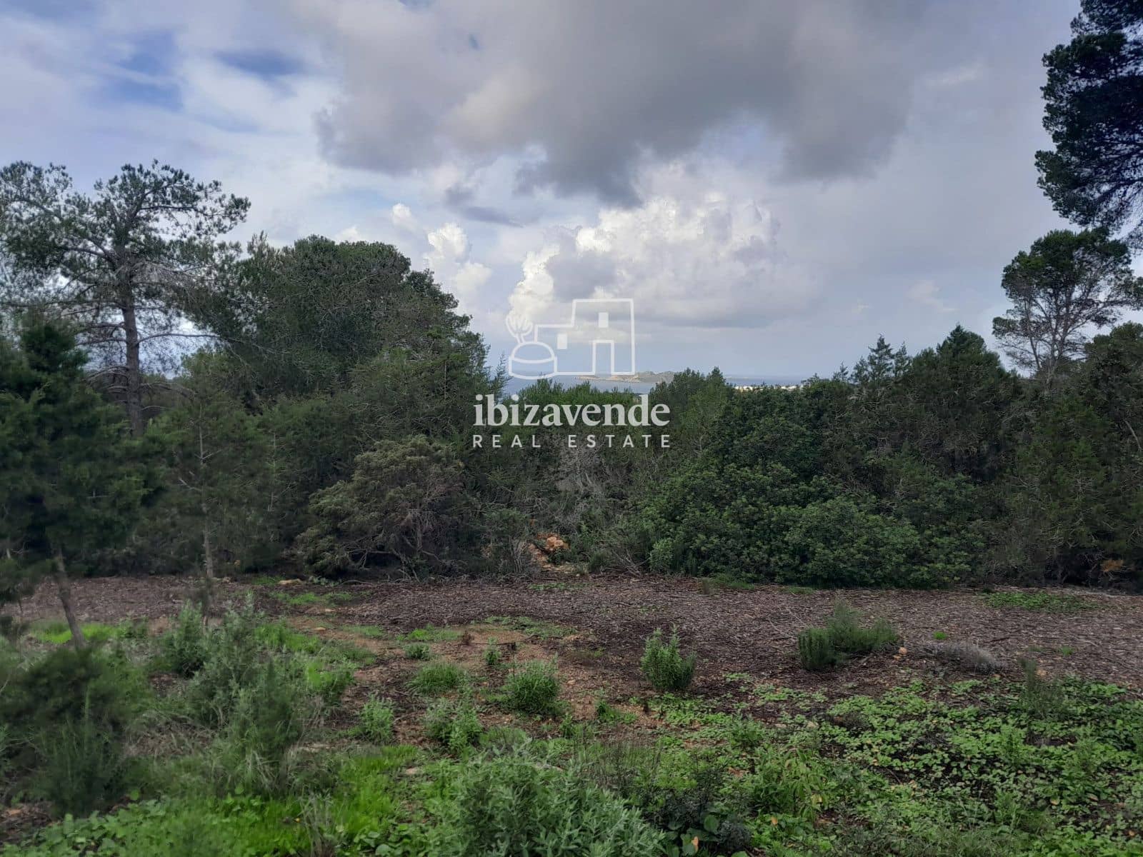 Terrain à Bâtir à vendre à Cala Tarida - 1 800 000 € (Ref: 9462909)