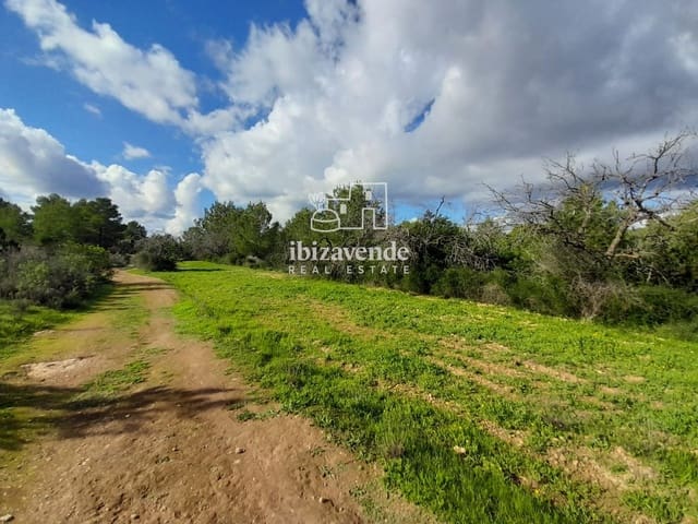 Terreno para Construção para venda em Cala Tarida, San Jose / Sant Josep de Sa Talaia - 1 800 000 € (Ref: 9462909)