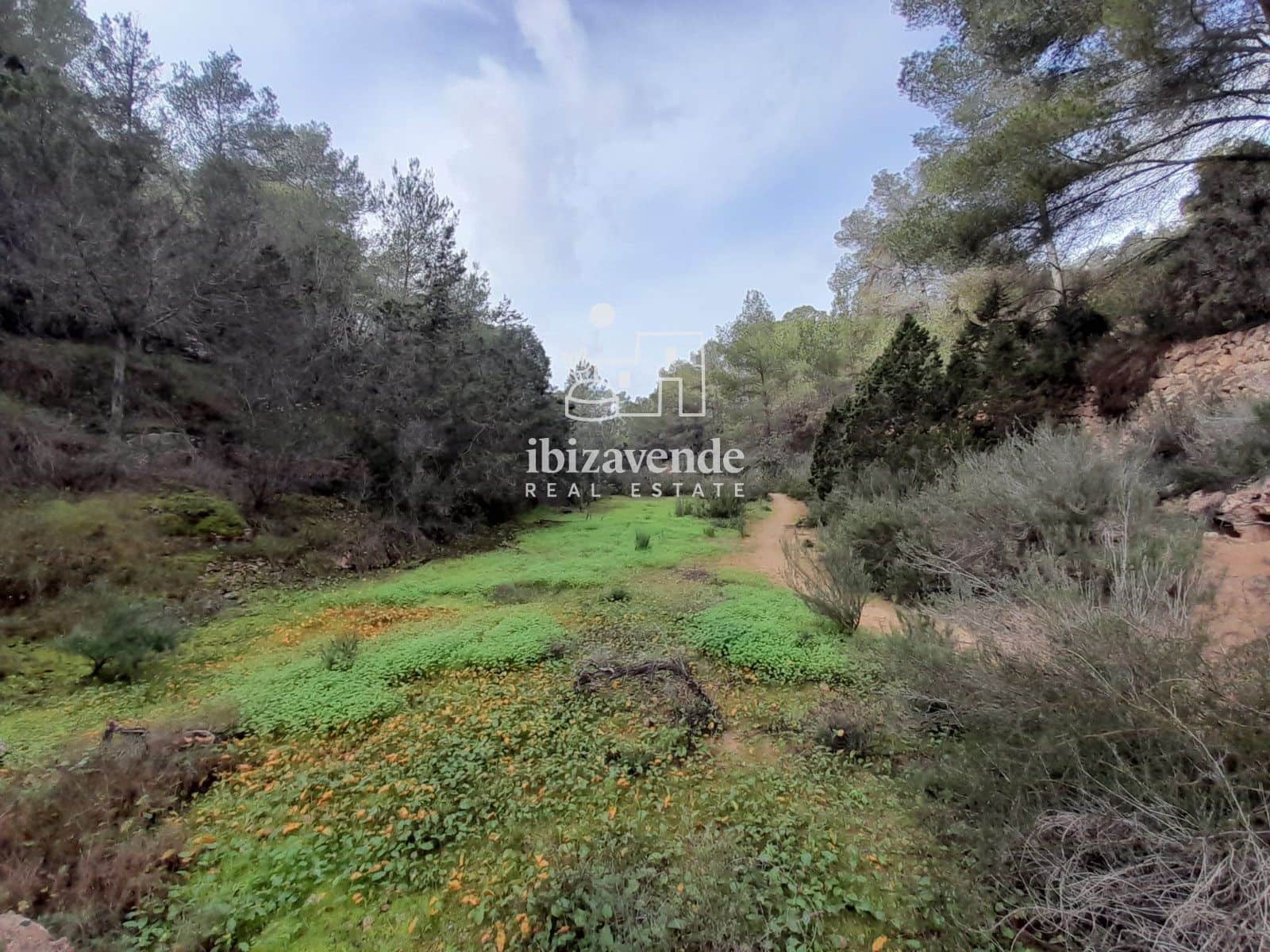 Terrain à Bâtir à vendre à Cala Tarida - 1 800 000 € (Ref: 9462909)