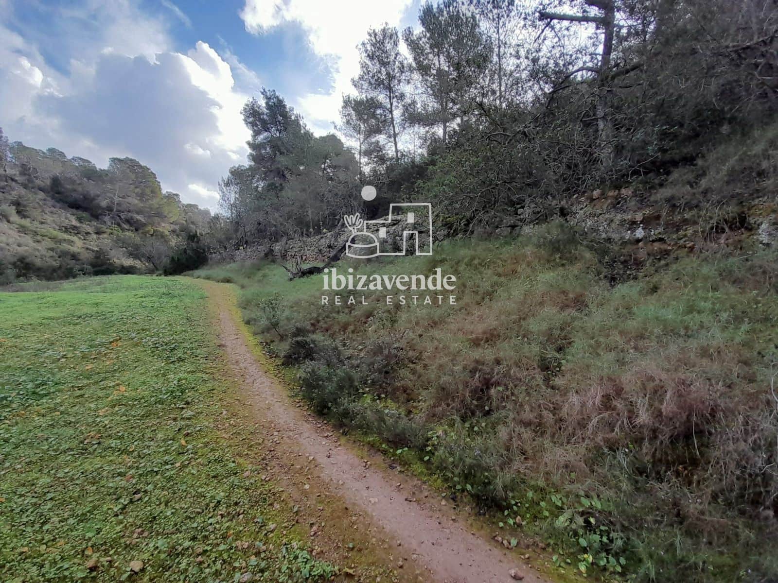 Terrain à Bâtir à vendre à Cala Tarida - 1 800 000 € (Ref: 9462909)