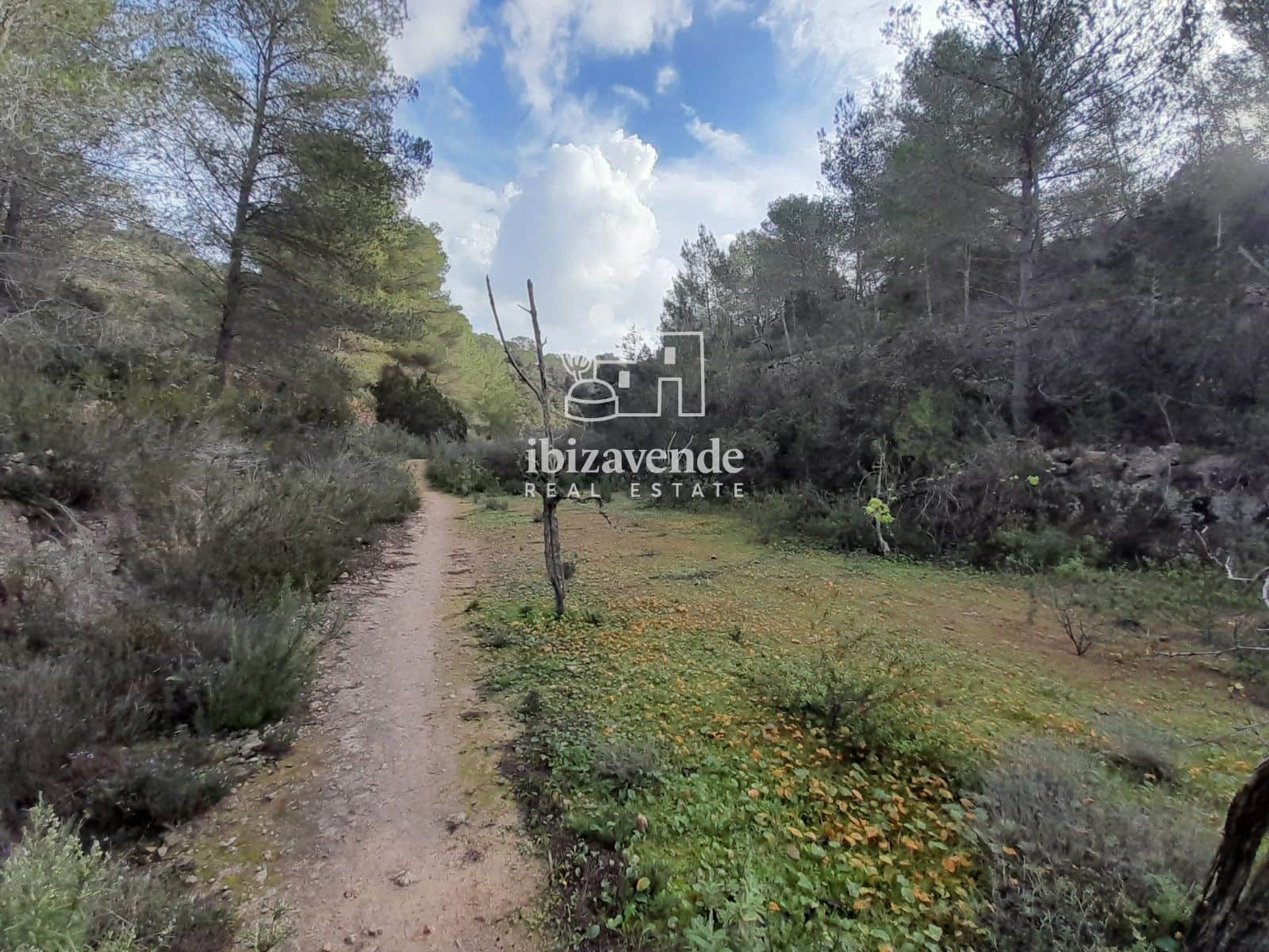 Terrain à Bâtir à vendre à Cala Tarida - 1 800 000 € (Ref: 9462909)