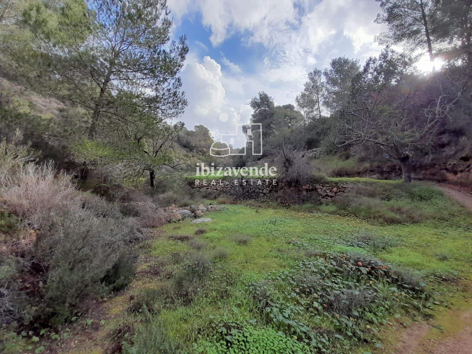 Terrain à Bâtir à vendre à Cala Tarida - 1 800 000 € (Ref: 9462909)