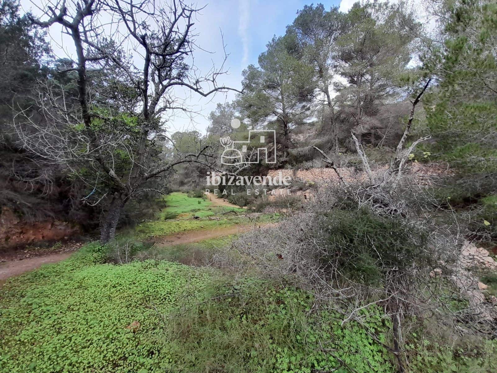 Terrain à Bâtir à vendre à Cala Tarida - 1 800 000 € (Ref: 9462909)