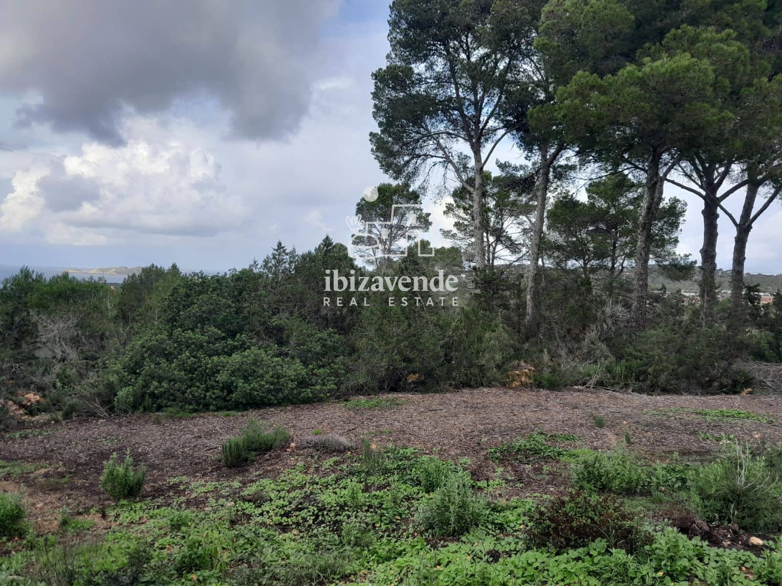 Terrain à Bâtir à vendre à Cala Tarida - 1 800 000 € (Ref: 9462909)