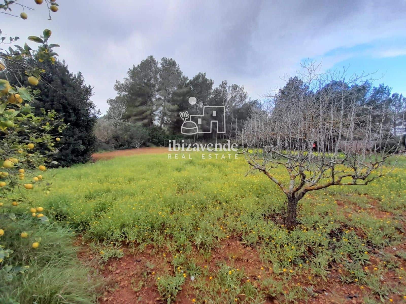 6 bedroom Villa for sale in Santa Eulalia / Santa Eularia with pool garage - € 2,690,000 (Ref: 9511386)