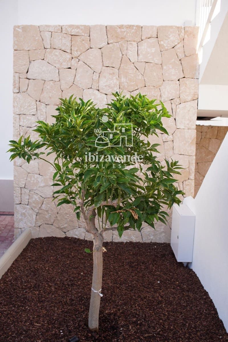 2 soveværelse Penthouse til leje i Cala Gracio med swimmingpool garage - € 1.500 (Ref: 9517866)