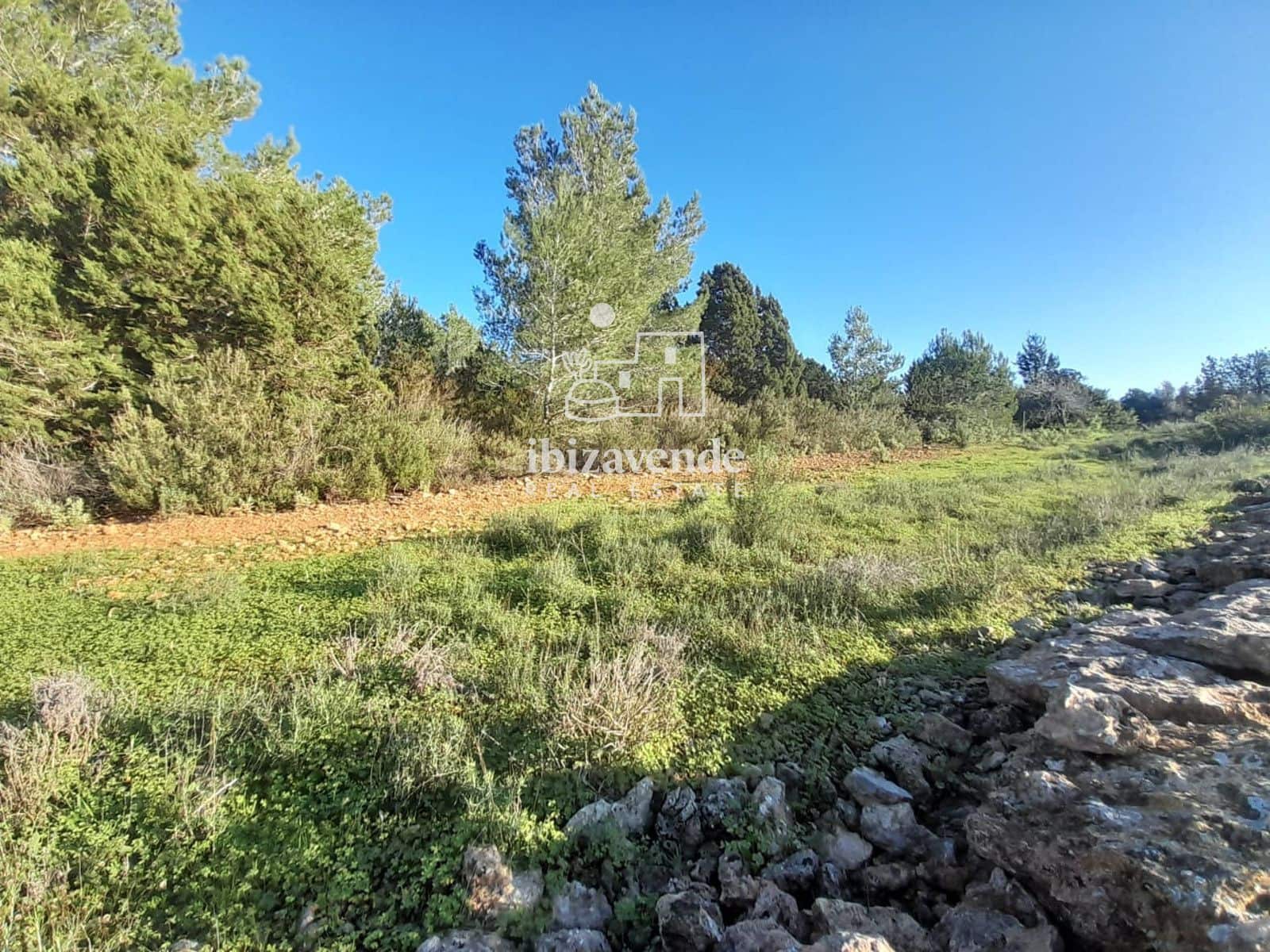 Building Plot for sale in San Miguel / Sant Miquel de Balansat - € 140,000 (Ref: 9550226)