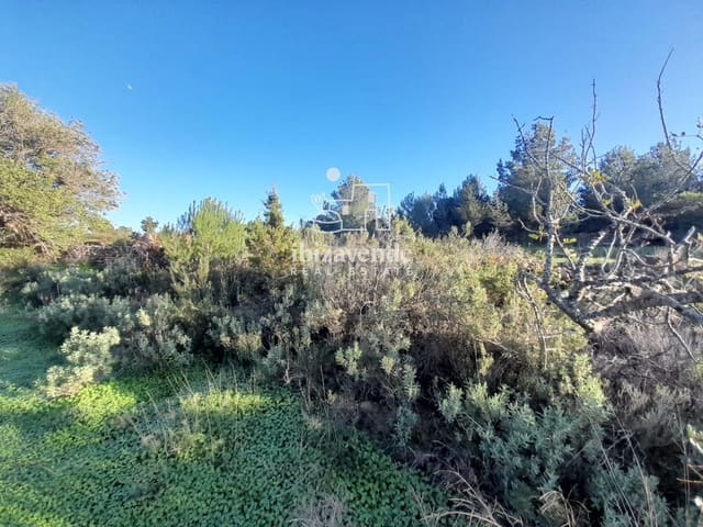 Building Plot for sale in San Miguel / Sant Miquel de Balansat, Sant Joan de Labritja - € 140,000 (Ref: 9550226)