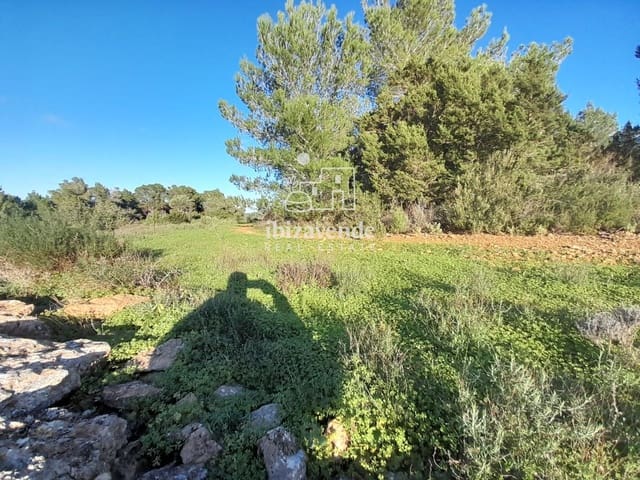 Building Plot for sale in San Miguel / Sant Miquel de Balansat, Sant Joan de Labritja - € 140,000 (Ref: 9550226)