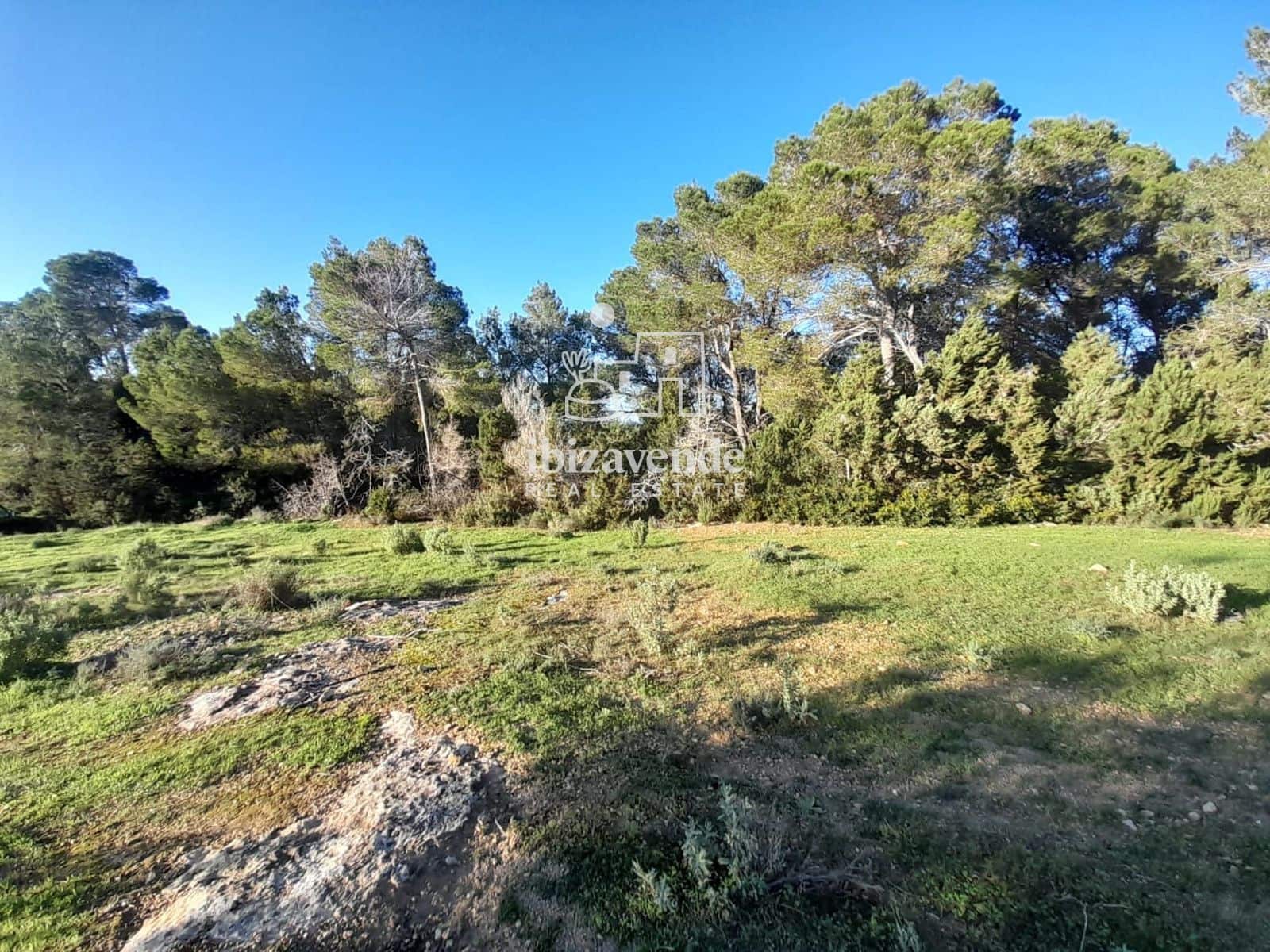 Building Plot for sale in San Miguel / Sant Miquel de Balansat - € 140,000 (Ref: 9550226)