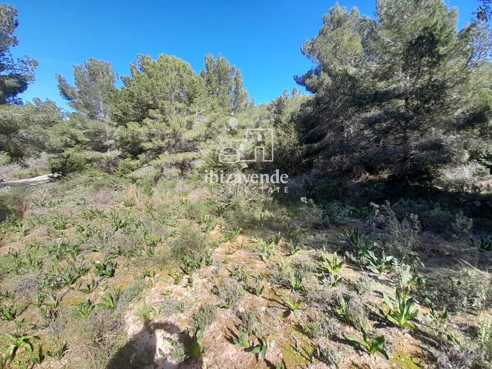 7 sypialnia Willa na sprzedaż w Sant Joan de Labritja - 2 200 000 € (Ref: 9566722)