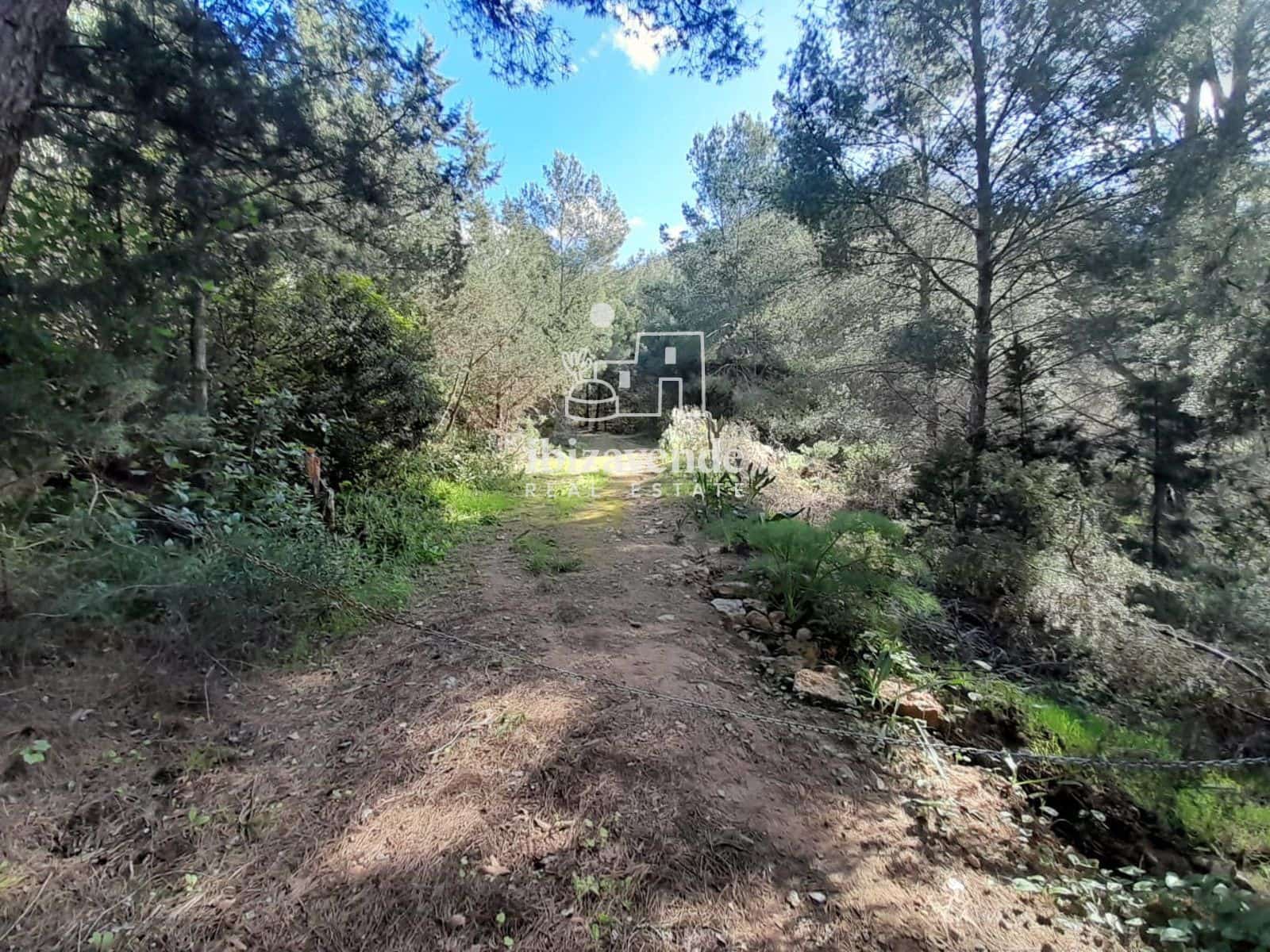 7 sypialnia Willa na sprzedaż w Sant Joan de Labritja - 2 200 000 € (Ref: 9566722)