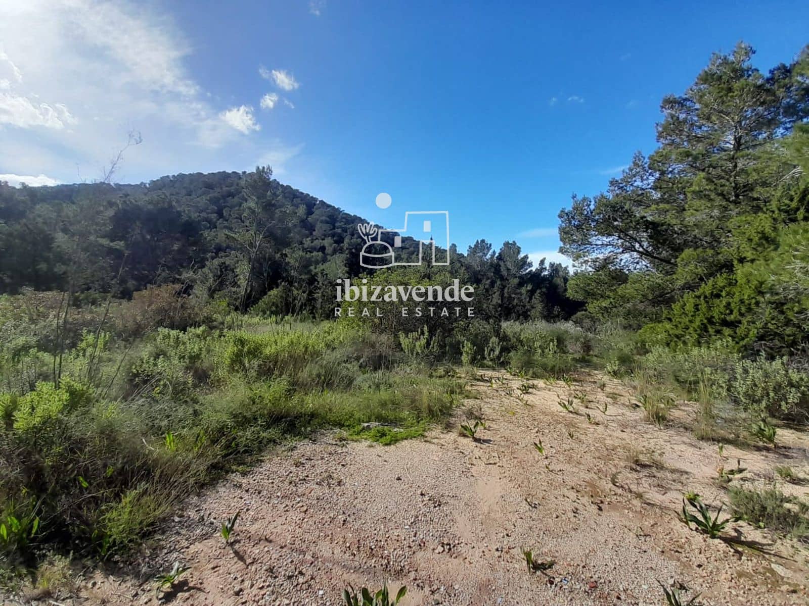 7 sypialnia Willa na sprzedaż w Sant Joan de Labritja - 2 200 000 € (Ref: 9566722)