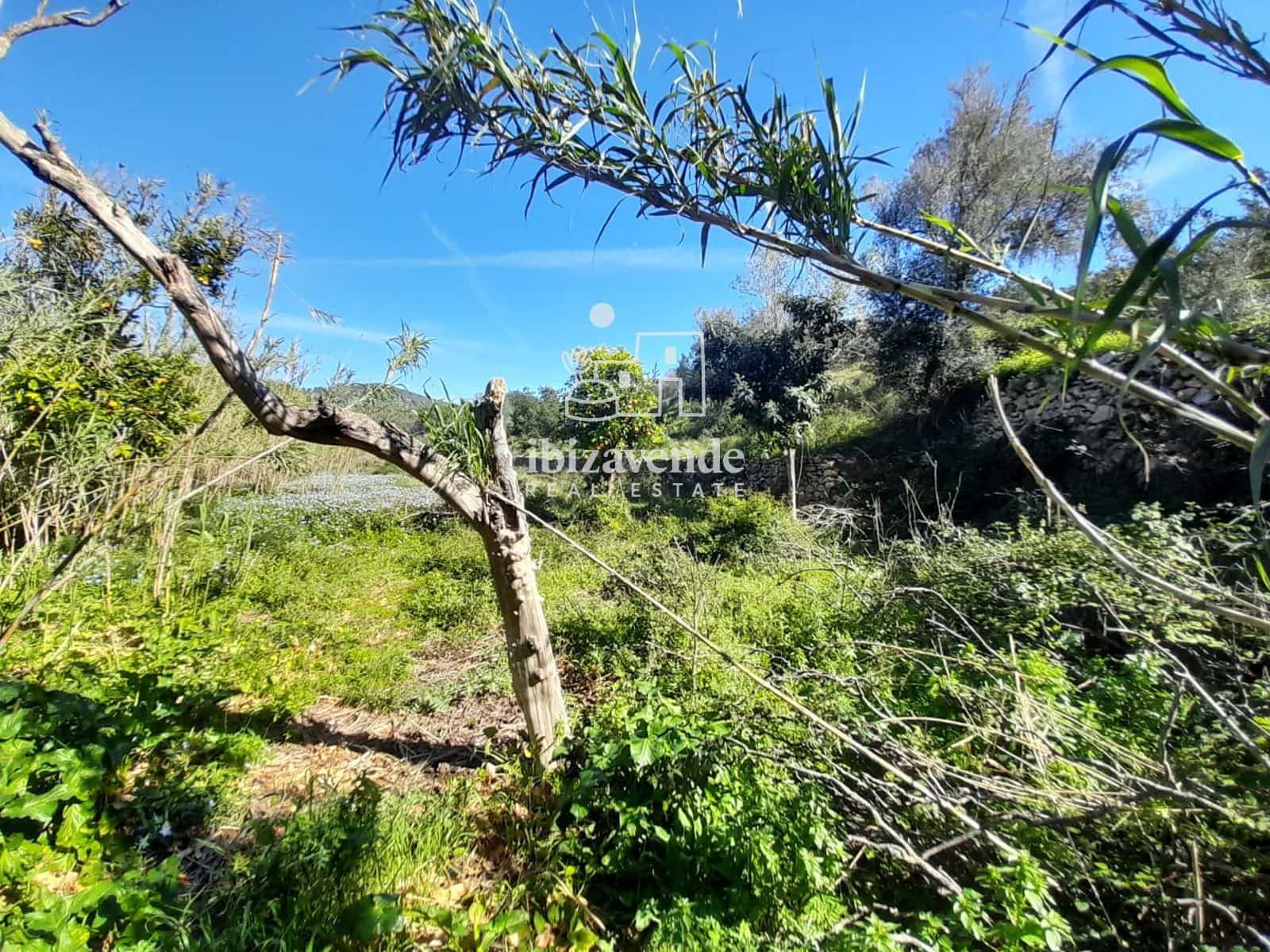 Terrain à Bâtir à vendre à Benirras - 130 000 € (Ref: 9630403)