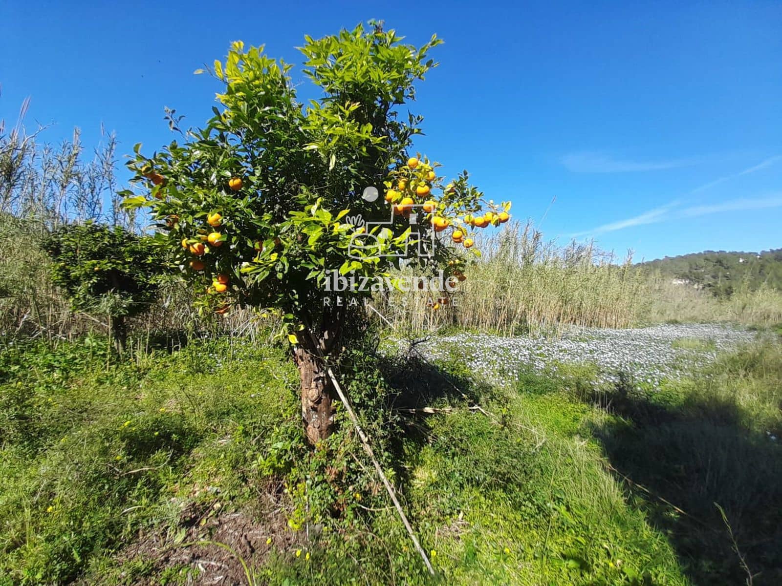 Terrain à Bâtir à vendre à Benirras - 130 000 € (Ref: 9630403)