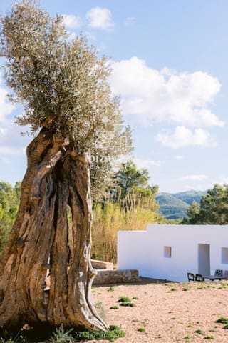 3 sypialnia Willa do wynajęcia w Sant Joan de Labritja z basenem garażem - 11 700 € (Ref: 9652863)