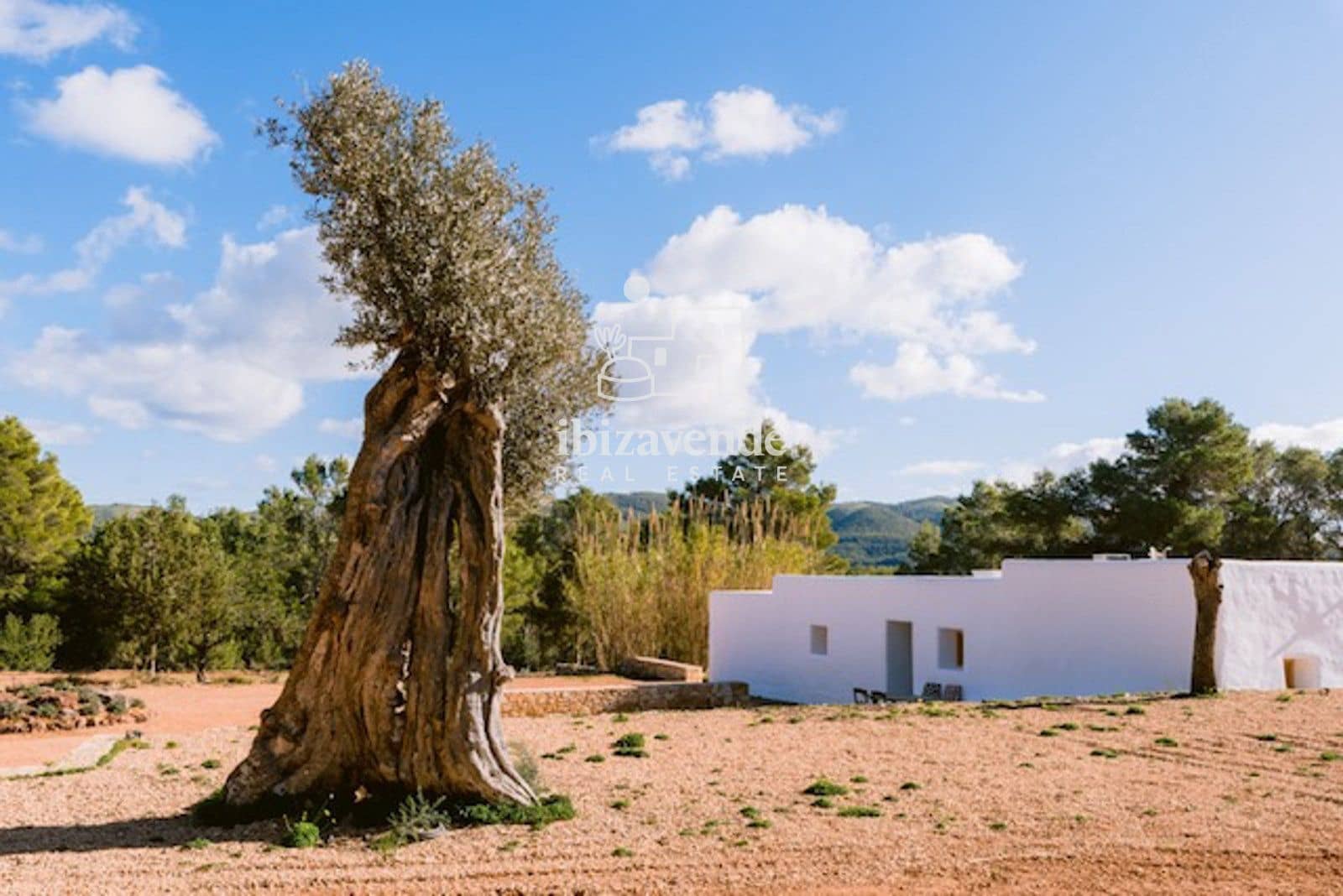 3 sypialnia Willa do wynajęcia w Sant Joan de Labritja z basenem garażem - 11 700 € (Ref: 9652863)