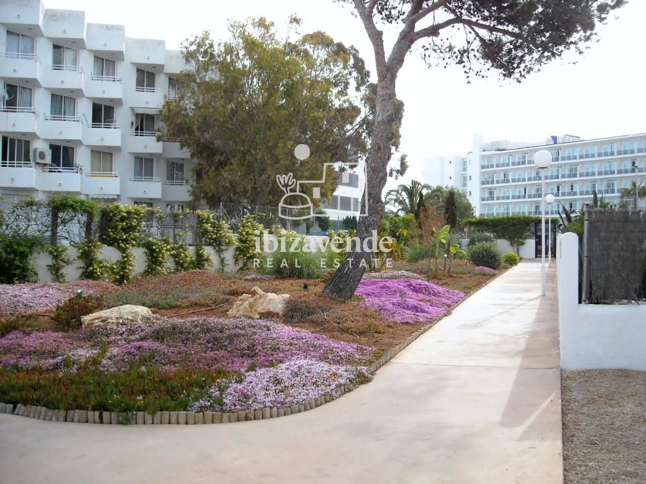 Appartement de 1 chambre à louer à Cala d'en Bou avec piscine - 3 000 € (Ref: 9679278)