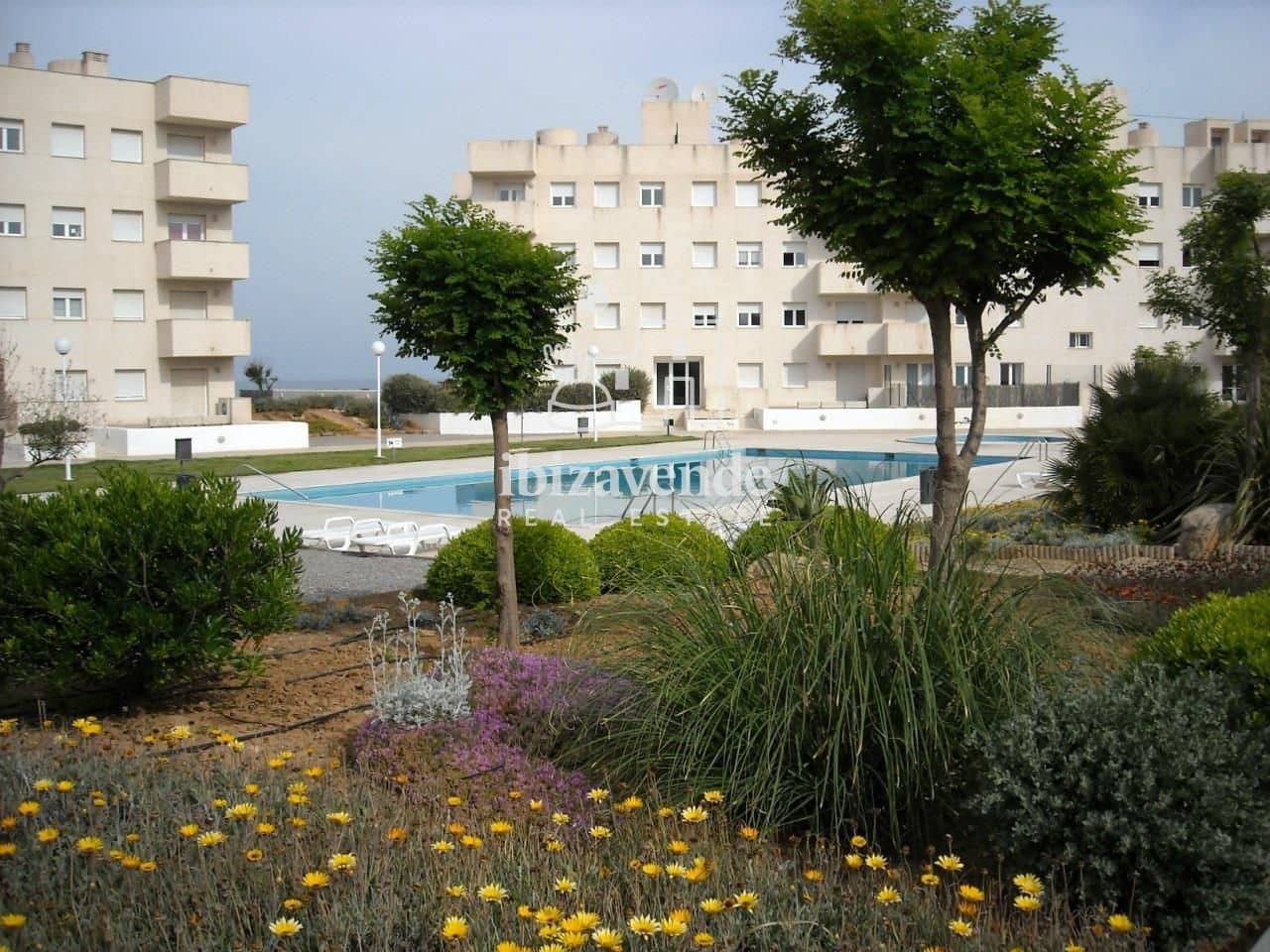 Appartement de 1 chambre à louer à Cala d'en Bou avec piscine - 3 000 € (Ref: 9679278)