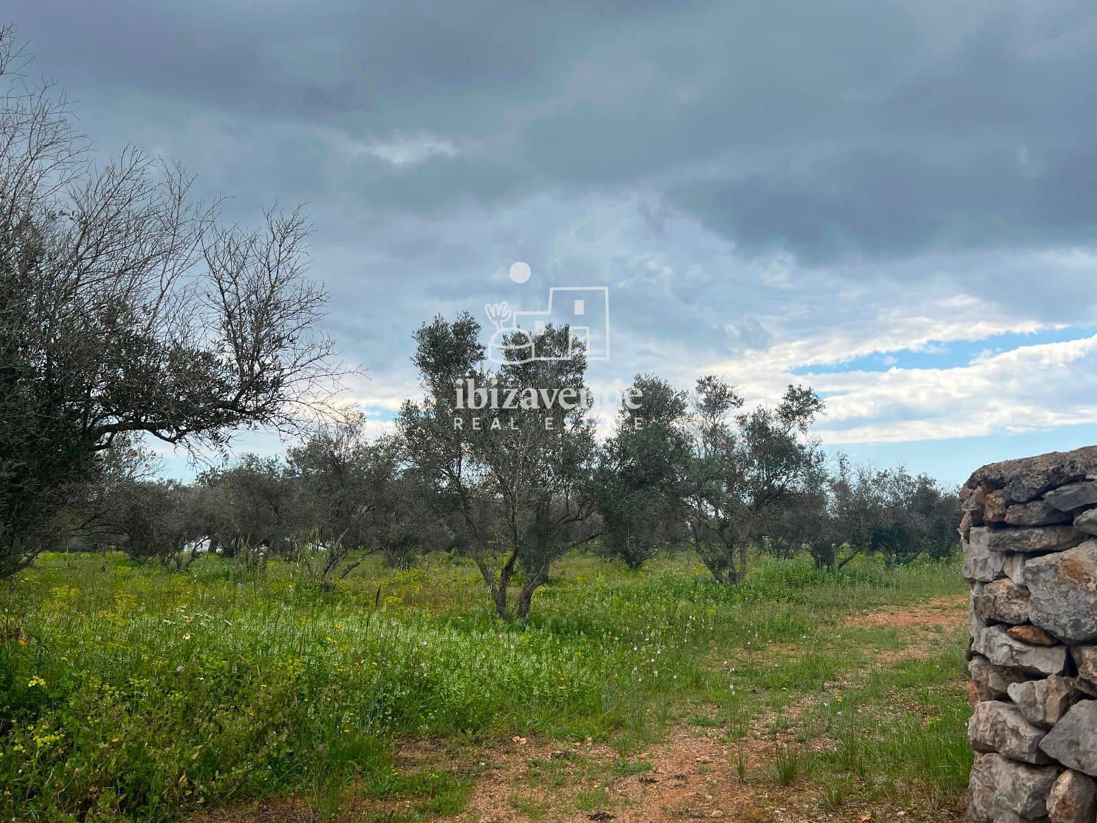 6 bedroom Villa for rent in Sant Llorenc de Balafia with pool garage - € 6,000 (Ref: 9783262)