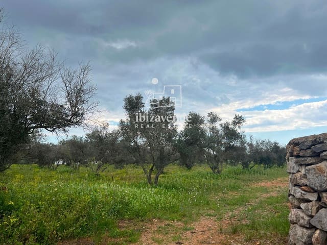 6 quarto Moradia para arrendar em Sant Llorenç de Balafia, Sant Joan de Labritja com piscina garagem - 6 000 € (Ref: 9783262)