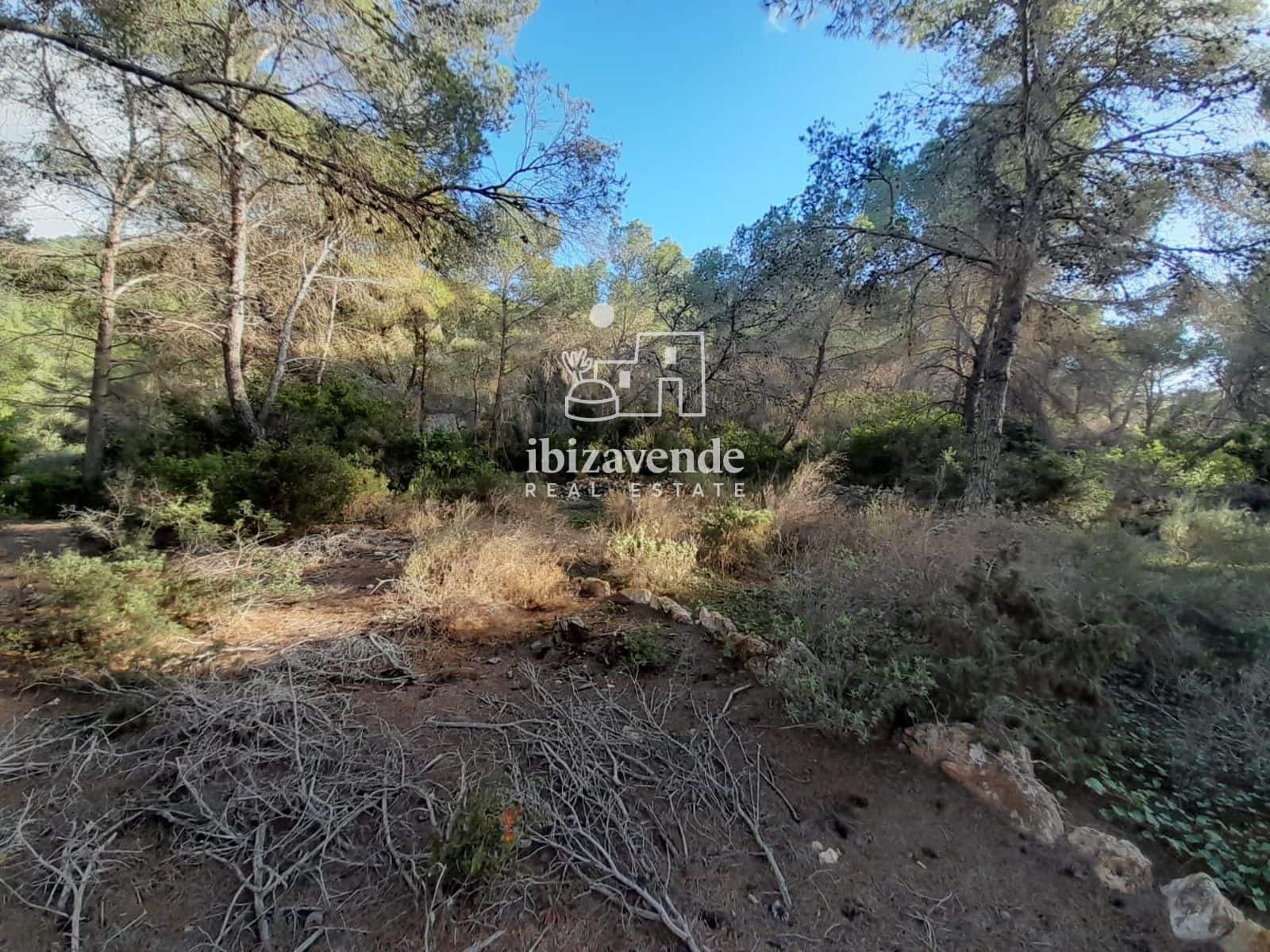Building Plot for sale in Santa Ines / Santa Agnes de Corona - € 200,000 (Ref: 9788760)